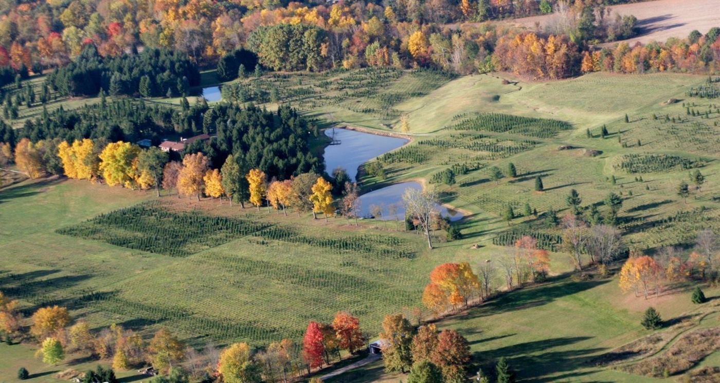 Aerial photo of Hickory Ridge farm grounds