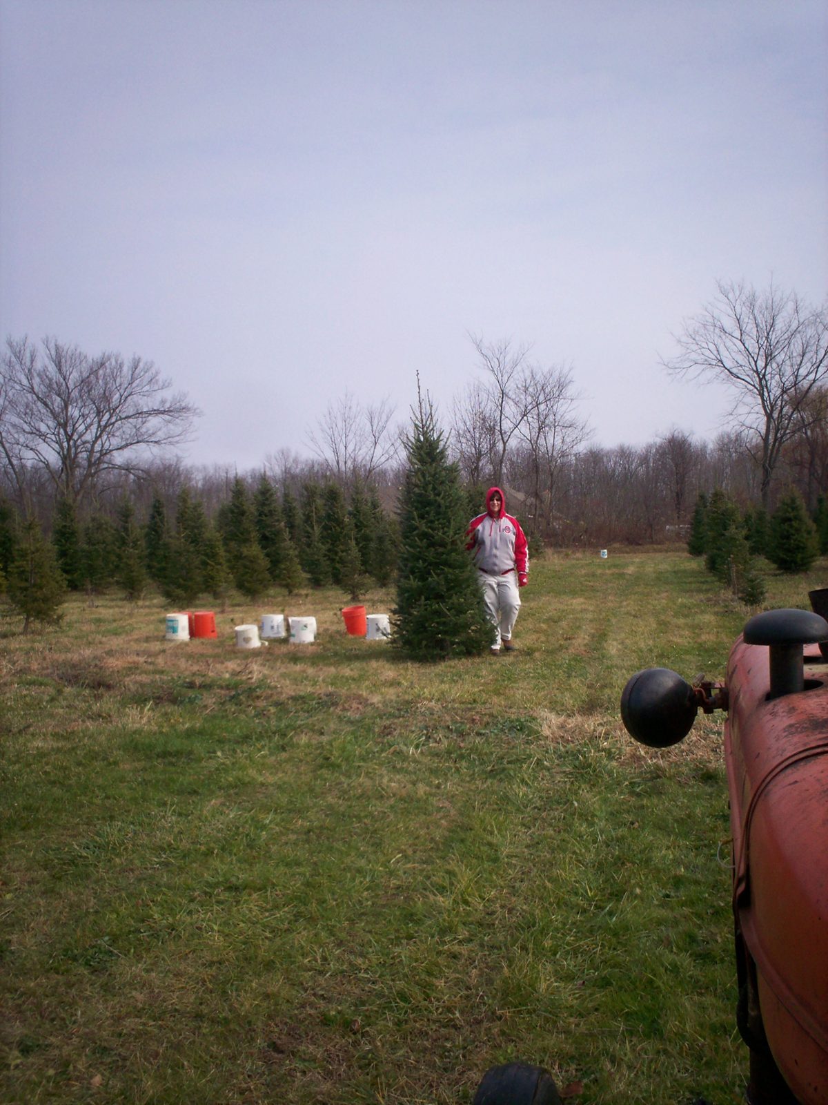 Family posing with a Christmas tree