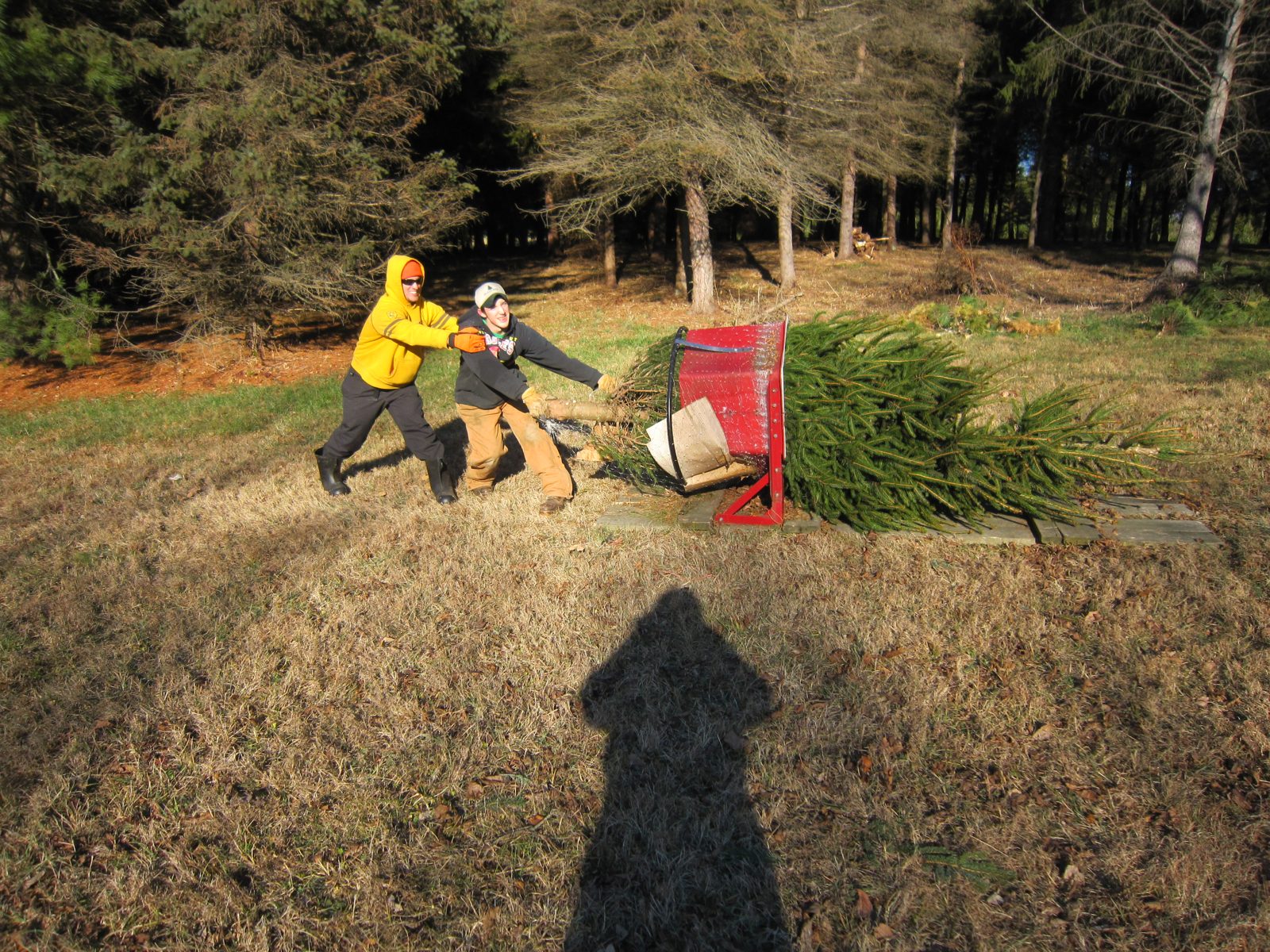 Guests at the farm with trees