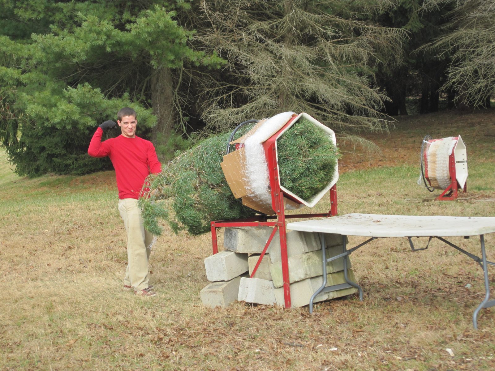 Guests selecting a tree at Hickory Ridge