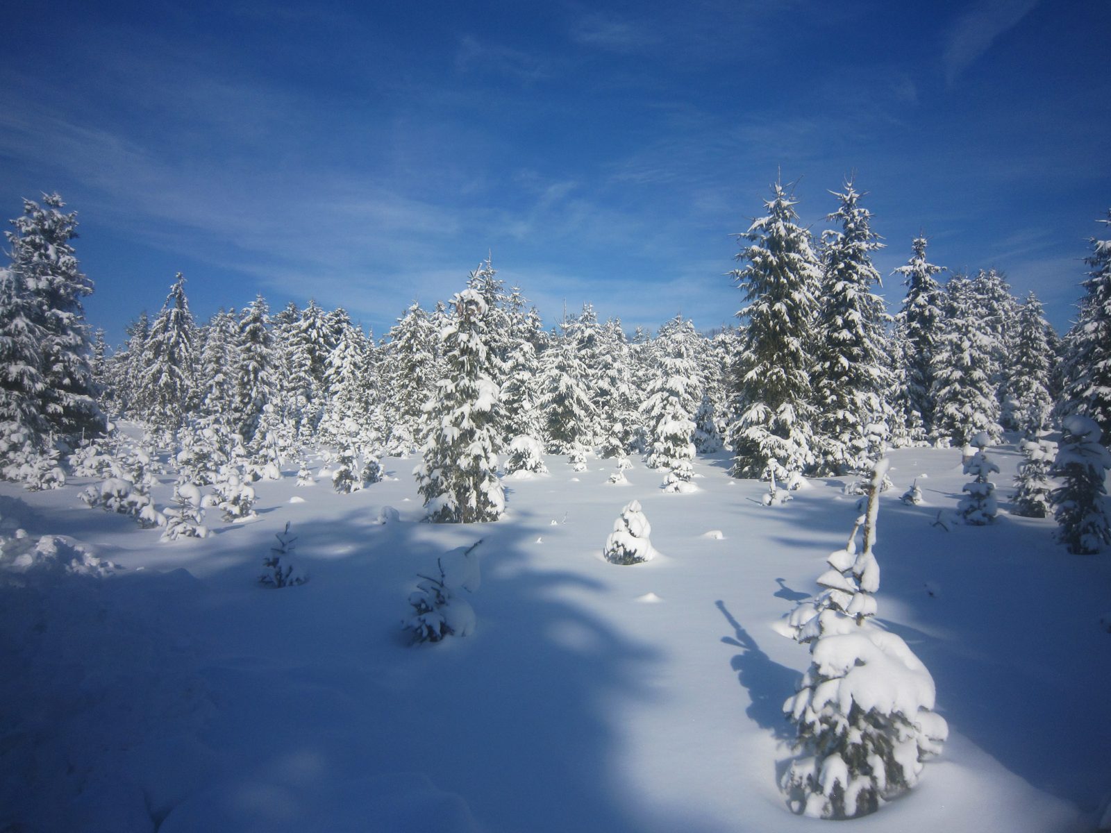 Farm in winter with snowy landscape