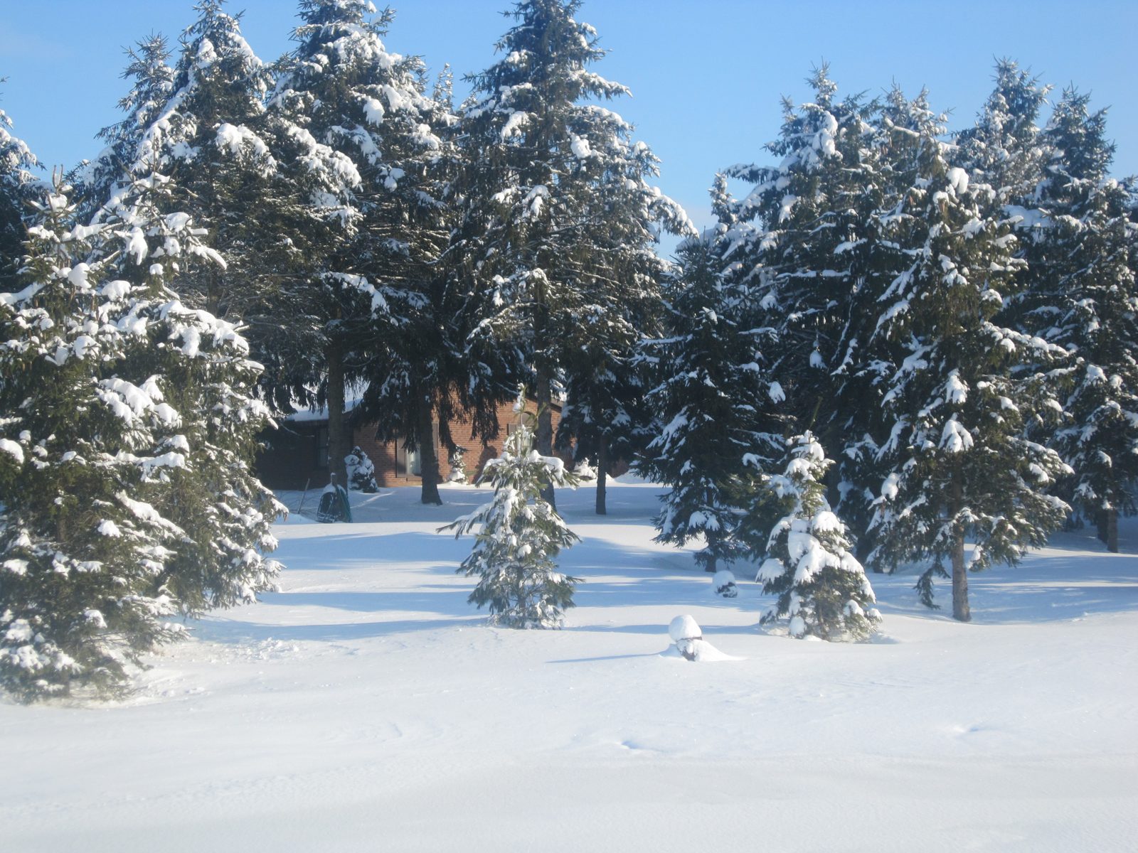 Snow-covered farm scene during Christmas season